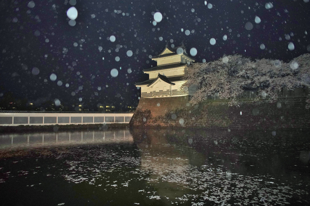 雨の夜桜・新発田城