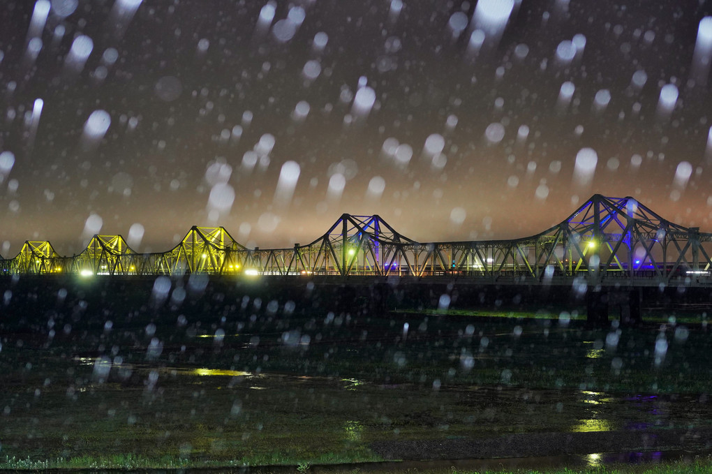 春の雨降る長生橋(ウクライナカラー)