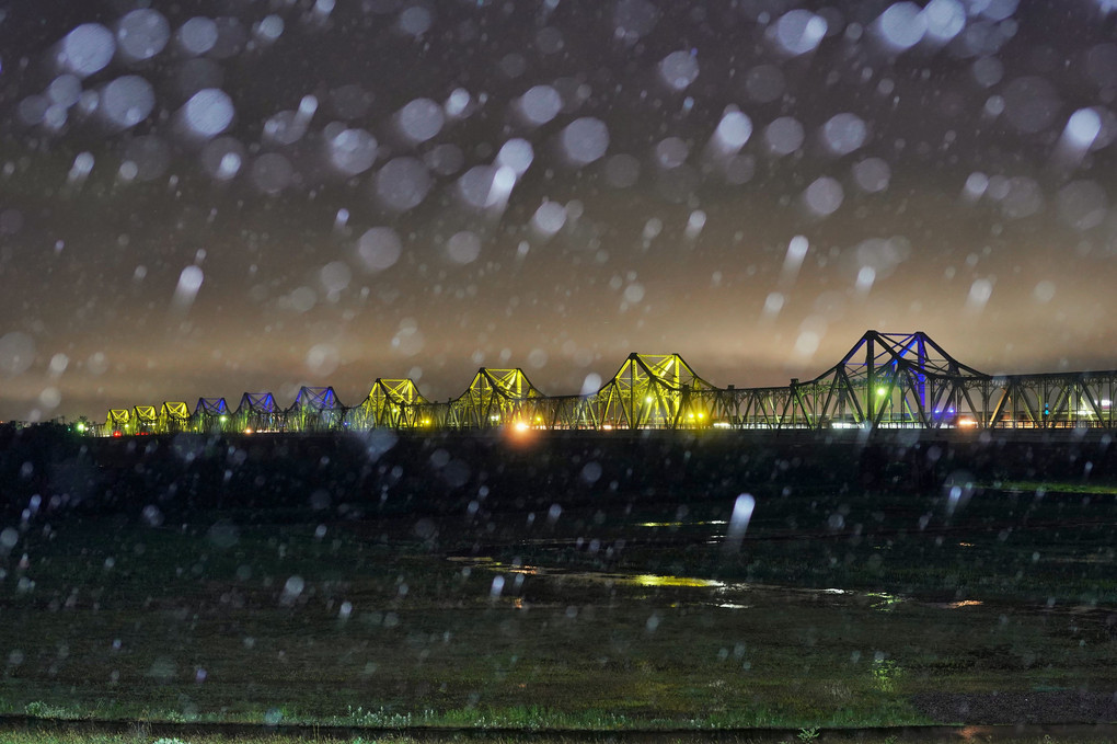 春の雨降る長生橋(ウクライナカラー)