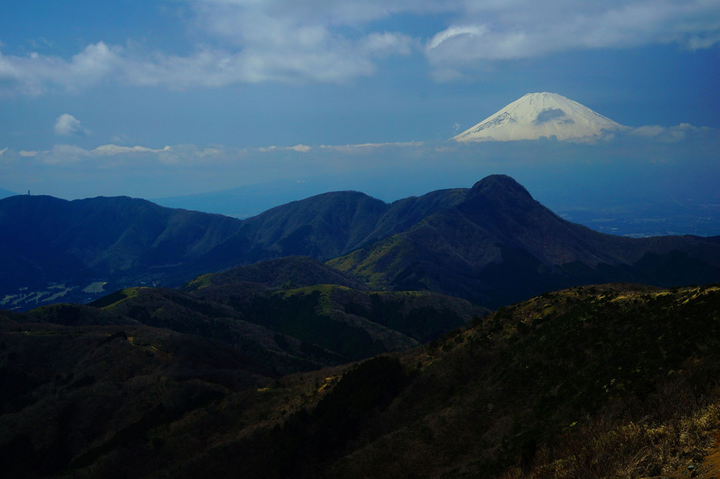 宙に浮く富士山 ～明神ヶ岳より～