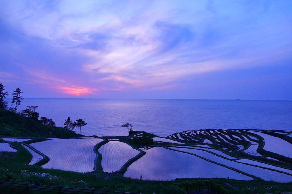 白米千枚田 夕景