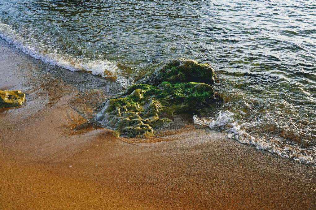 琴ヶ浜の風景