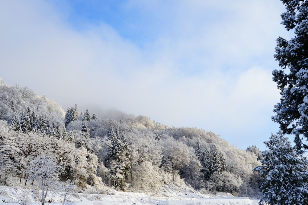 雪国の年明け