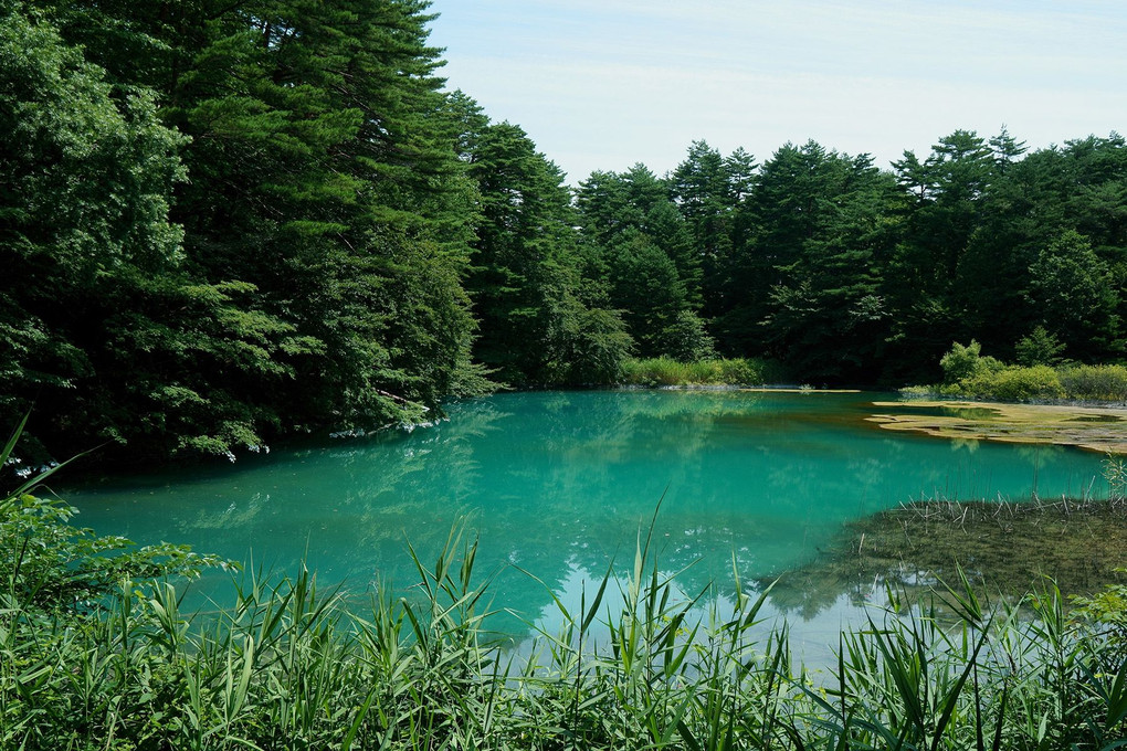 裏磐梯・五色沼