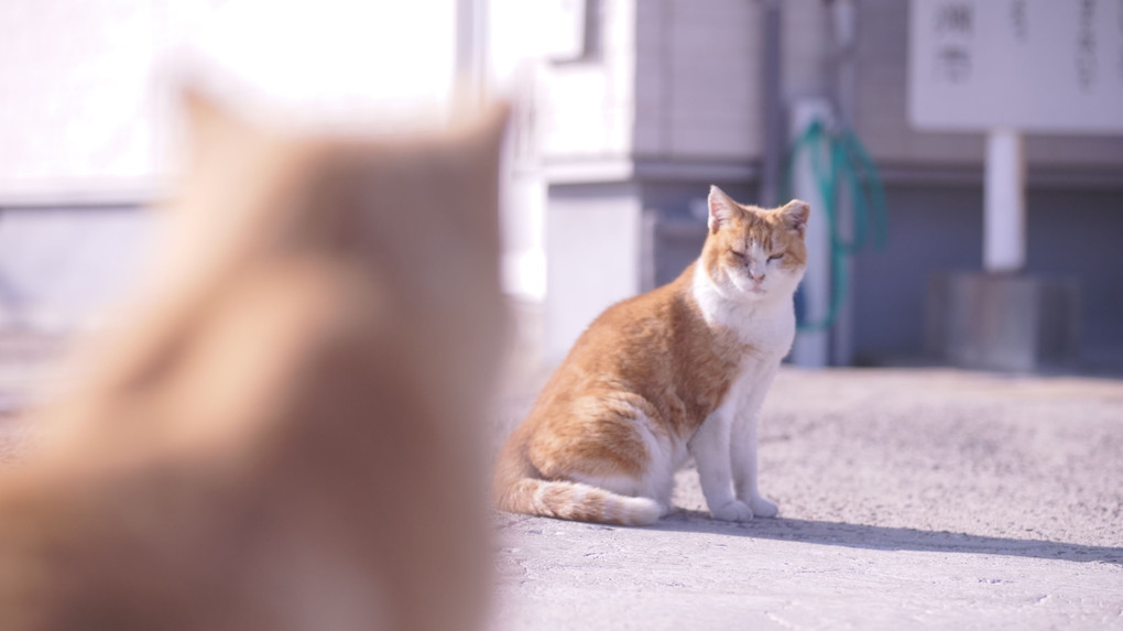 闘いの予感