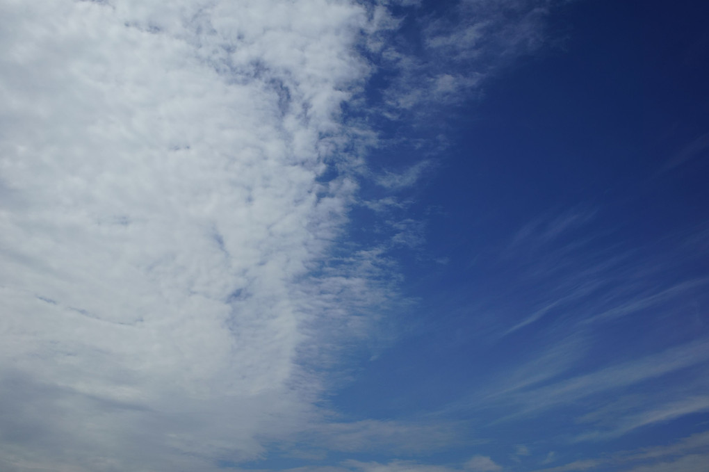 空が青かった