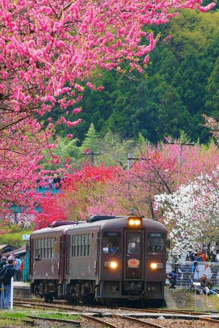 花桃の駅