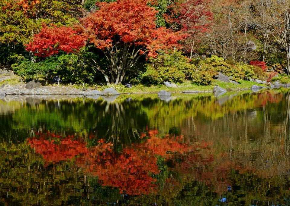 晩秋の日本庭園