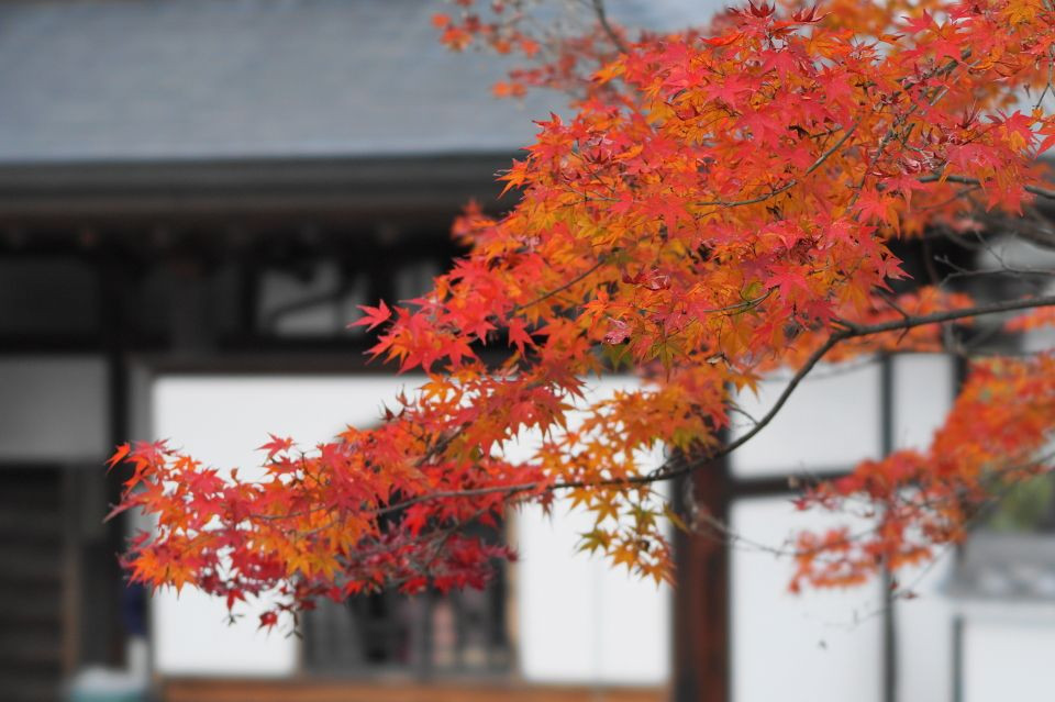 里山の晩秋