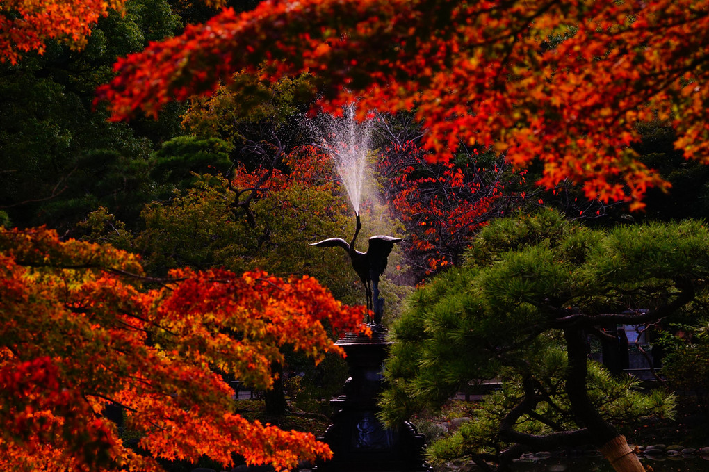 日比谷公園の秋色散策