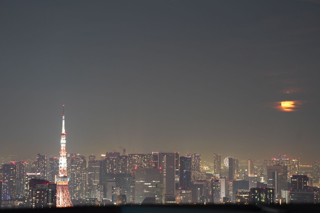 渋谷スカイで月と夜景を撮る