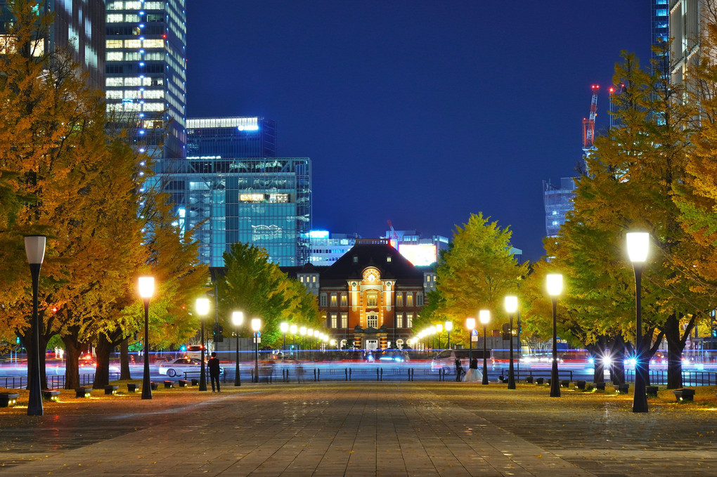東京駅とイチョウ並木