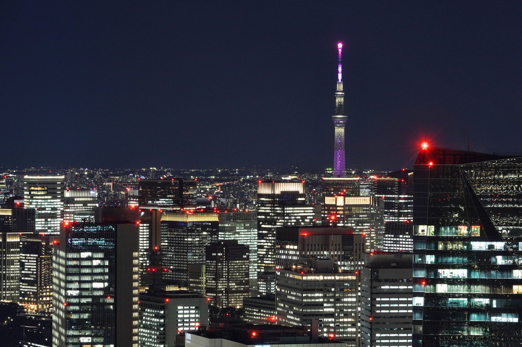 東京の夜景越しのスカイツリー