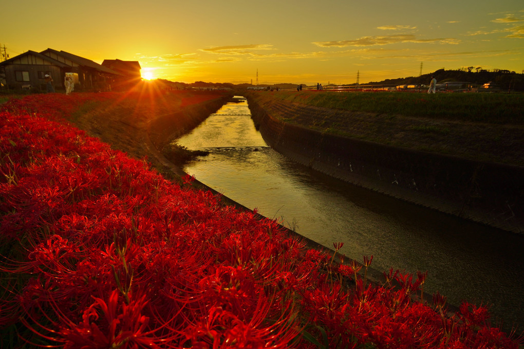 矢勝川秋景