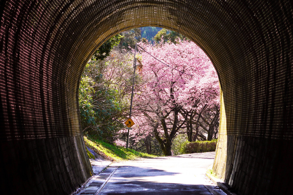 トンネルの向こうの春