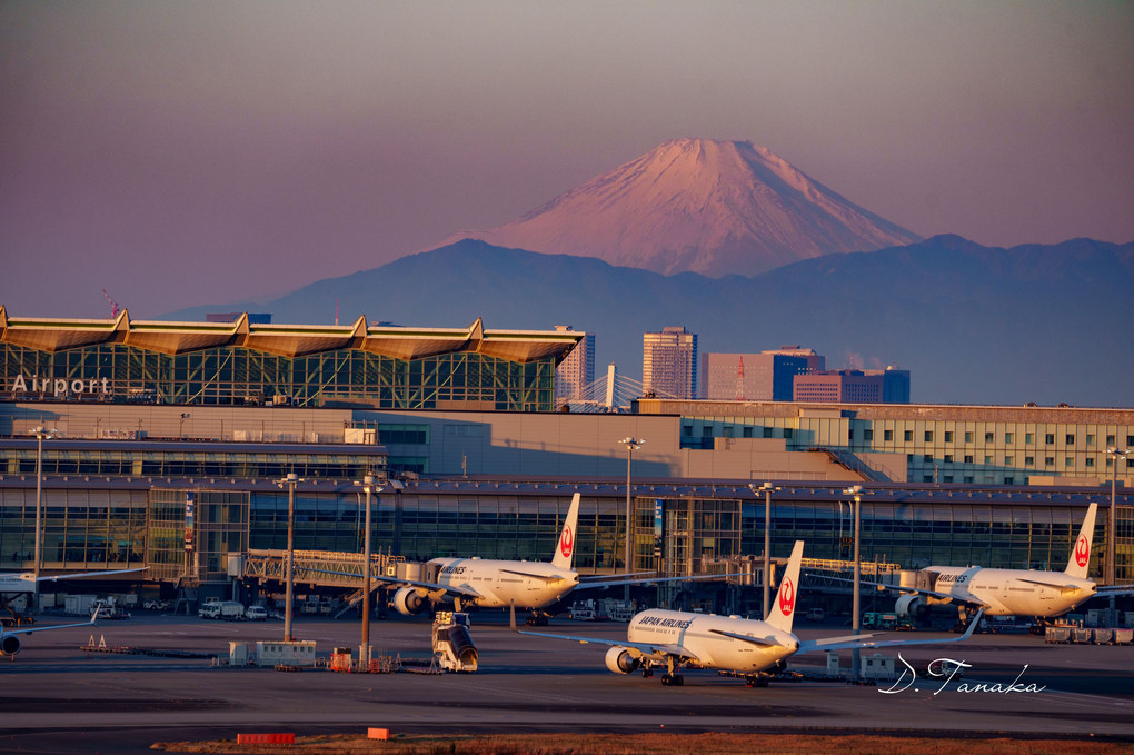 朝の富士山　羽田空港