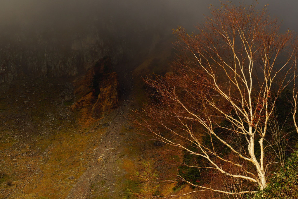  秋を探して‘19~赤肌峰と白肌樹