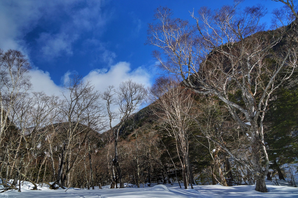 氷瀑求めて~その2 雪道を進む