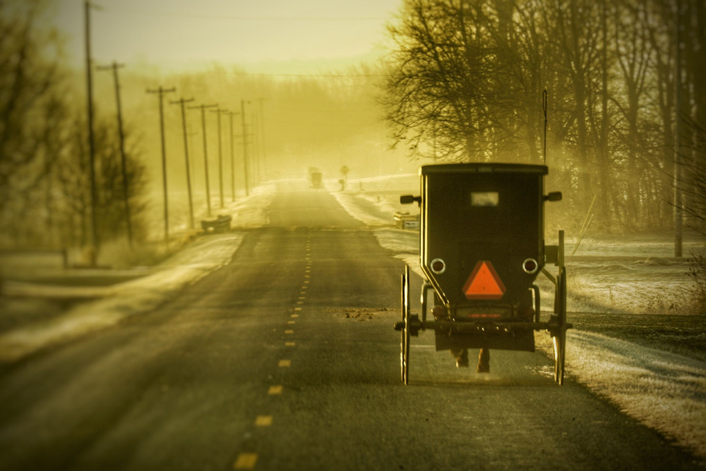 強い朝日と霧の中の馬車