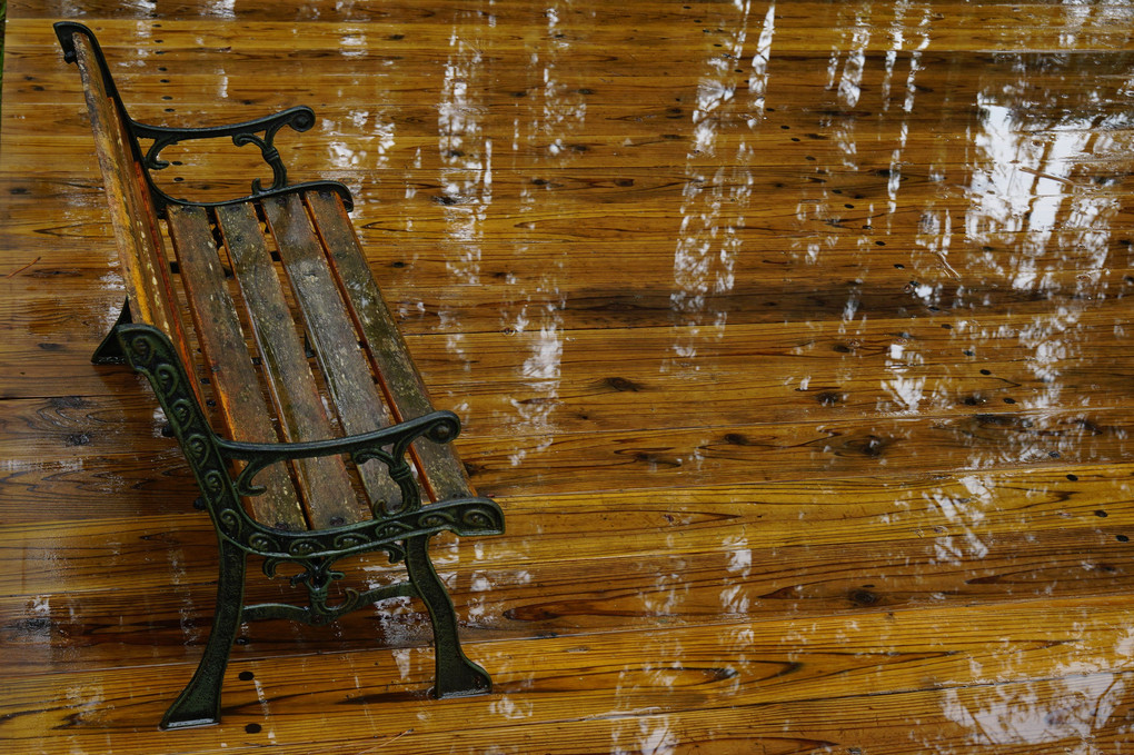 雨に濡れて~誰も居ないベンチ