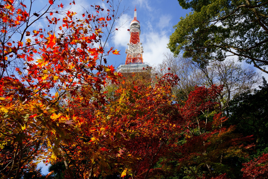 芝公園お散歩