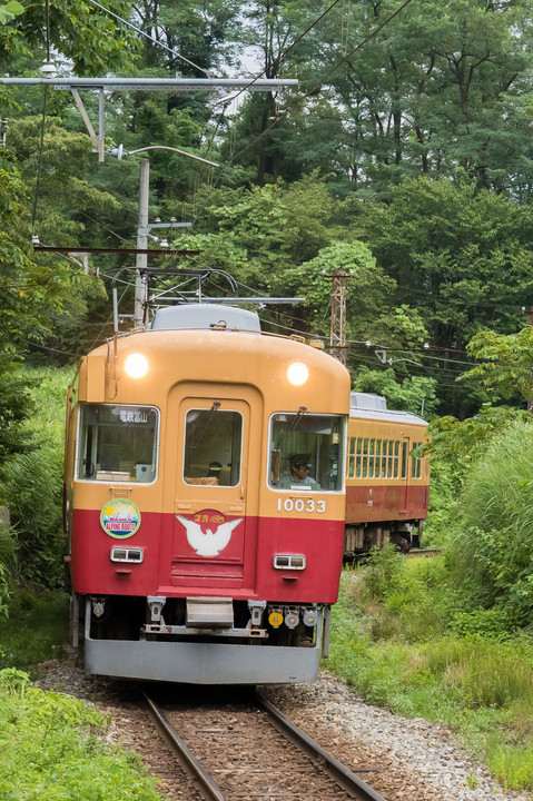富山地方鉄道　　ダブルデッカーエキスプレス