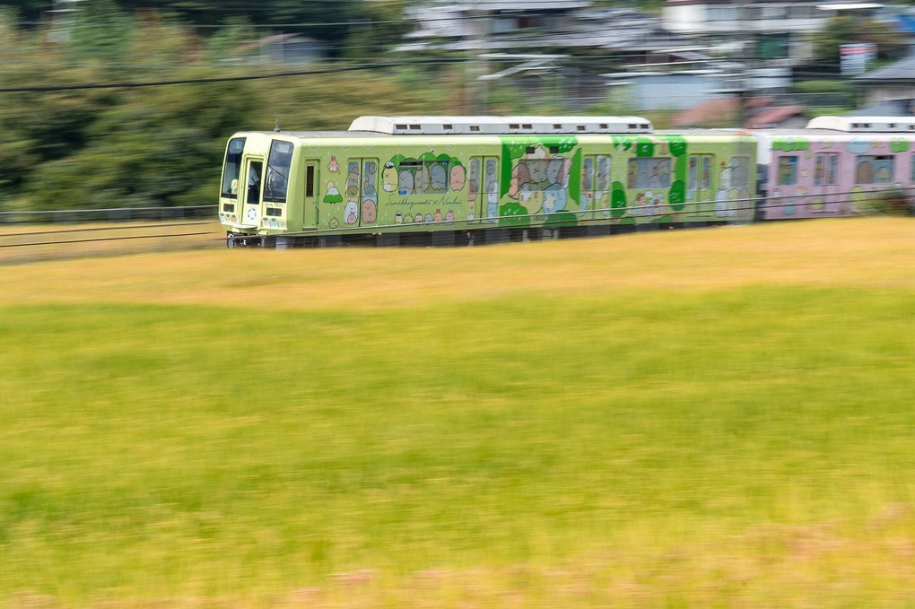 南海高野線　すみっコぐらし