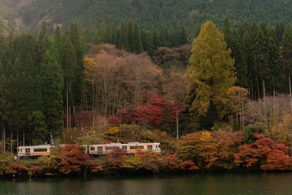 高山本線　紅葉狩