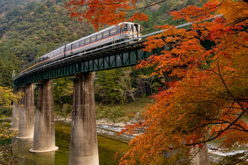 高山本線　紅葉狩