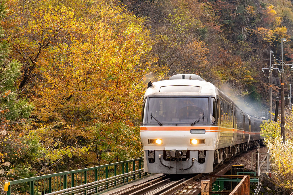 高山本線　紅葉狩