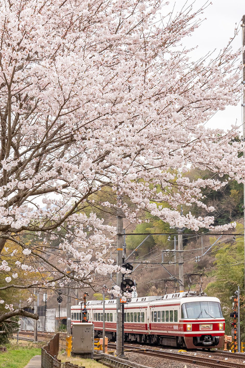 花曇りの南海高野線