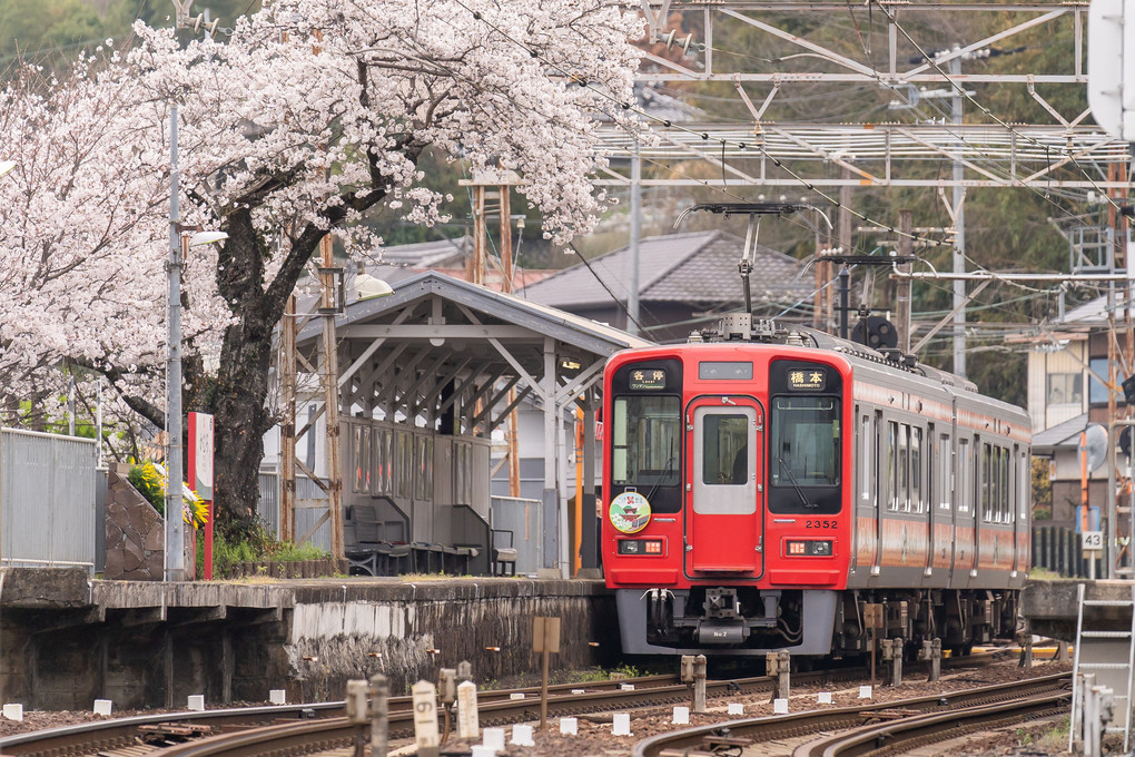 花曇りの南海高野線