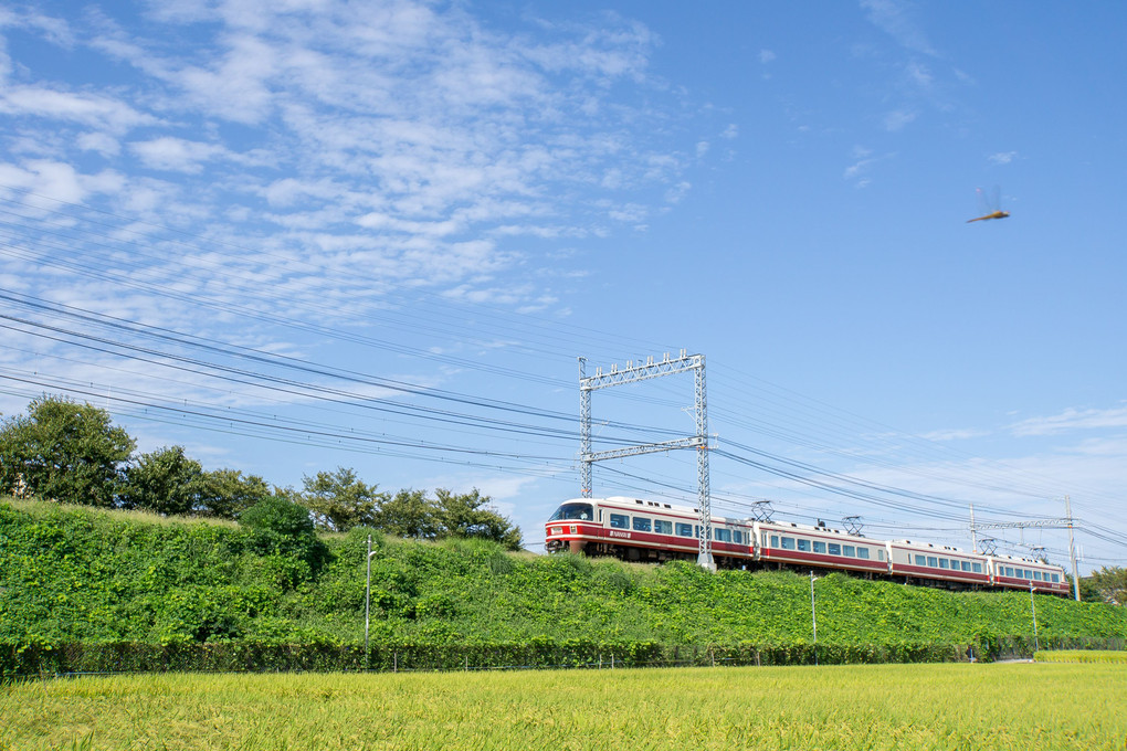 うろこ雲　久しぶりの秋晴れ　