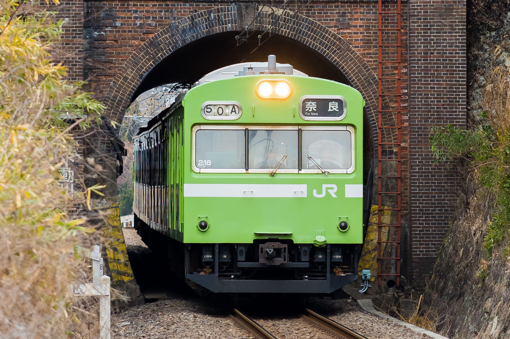 奈良線　103系とレトロな不動川トンネル
