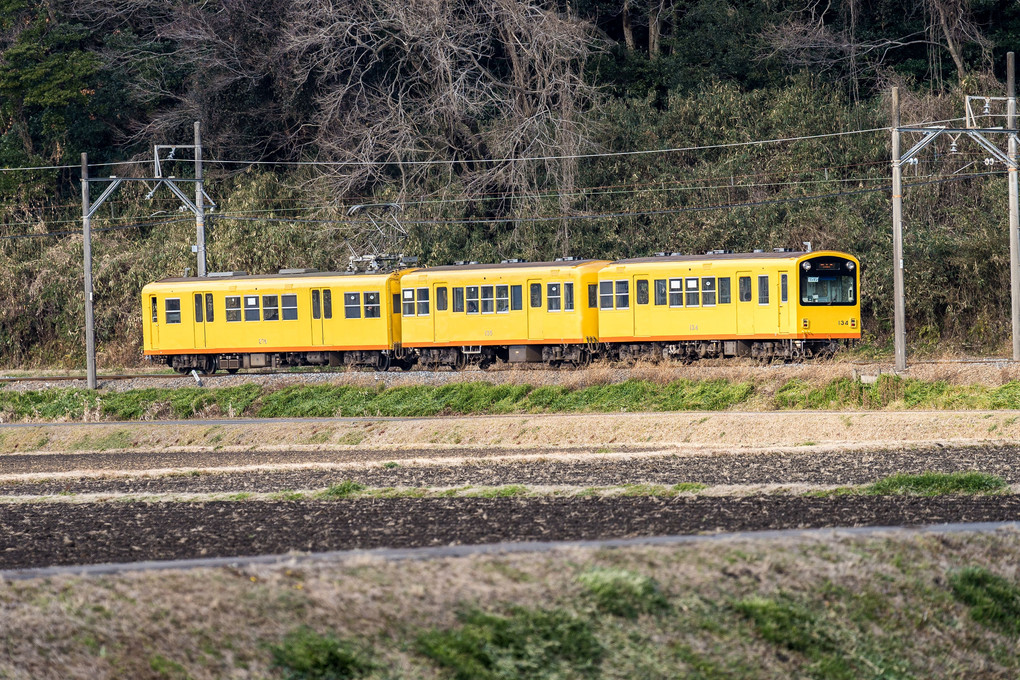 黄色のナローゲージ　三岐鉄道　