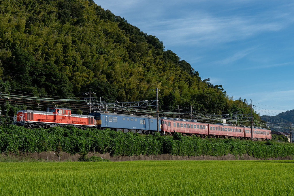稲穂と赤色列車