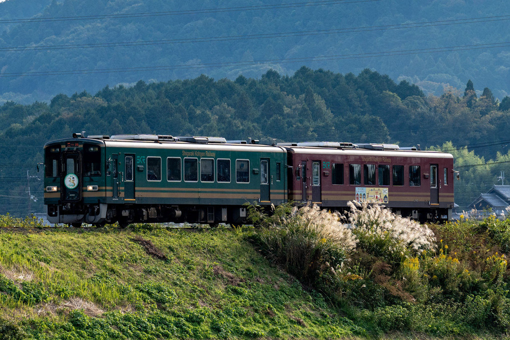秋の信楽高原鉄道