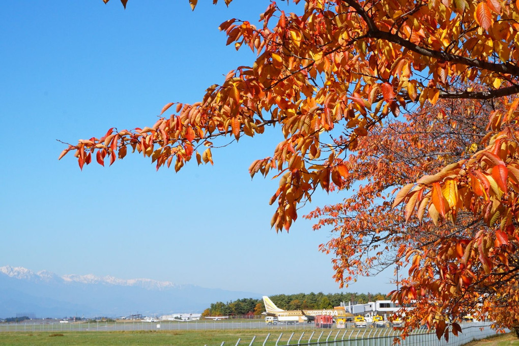 晩秋の松本空港