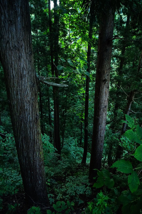 里山登山