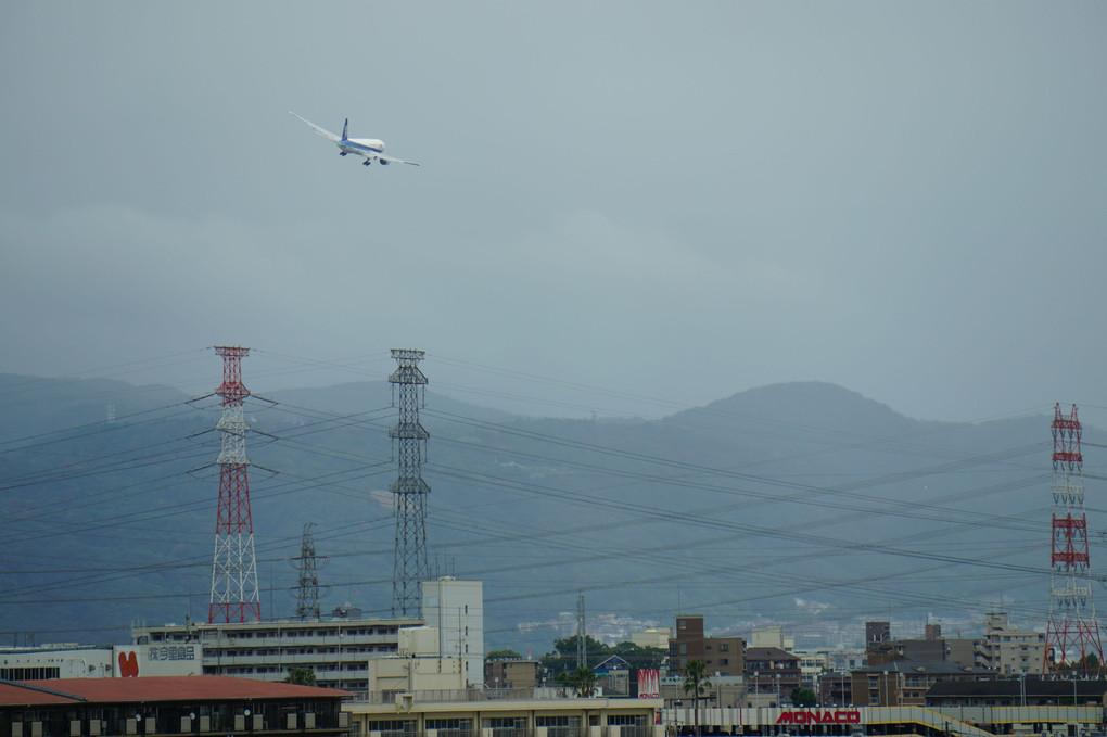 阪神競馬場からの眺め（飛行機）