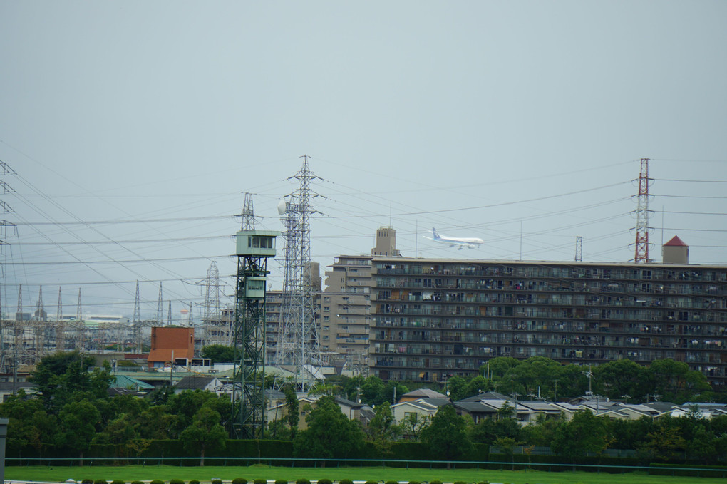 阪神競馬場からの眺め（飛行機）