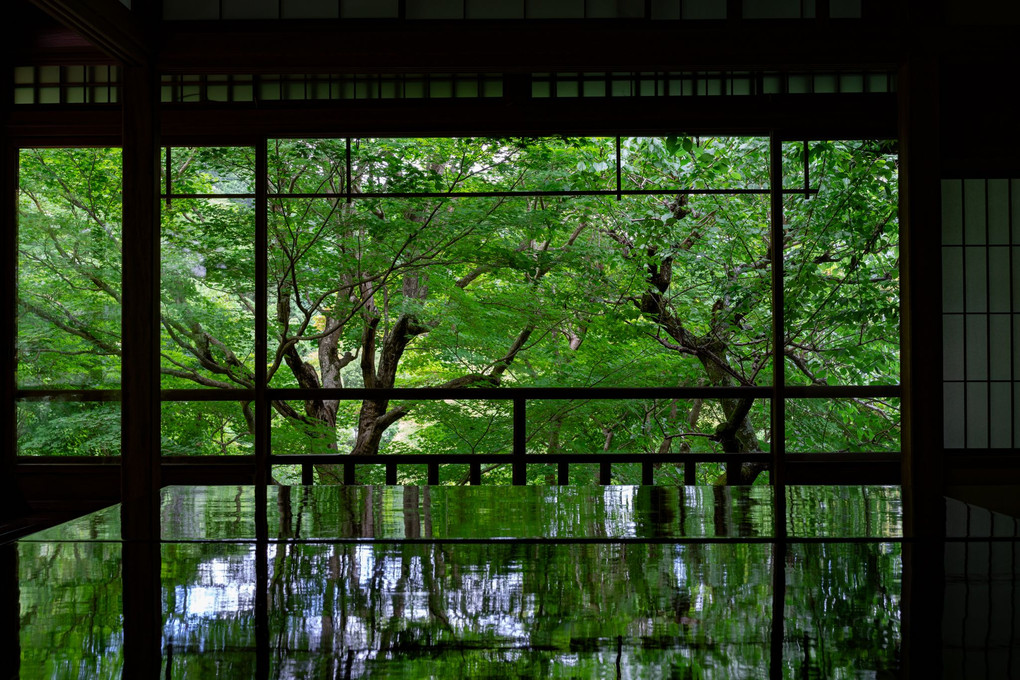 念願の瑠璃光院