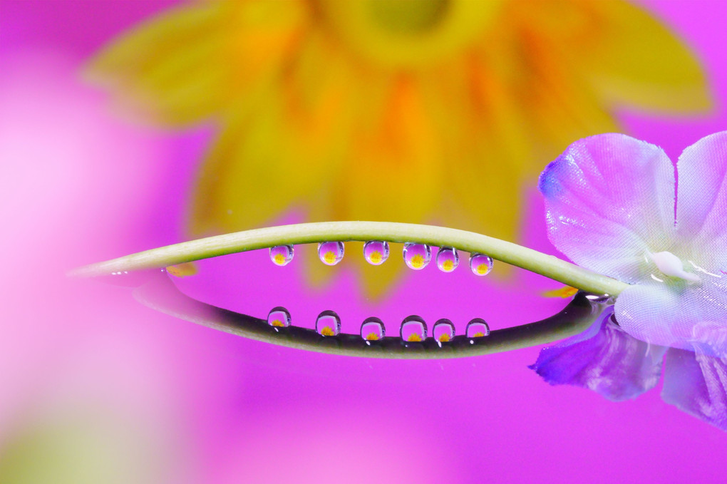 ARTIFICIAL FLOWER（水滴写真初挑戦）