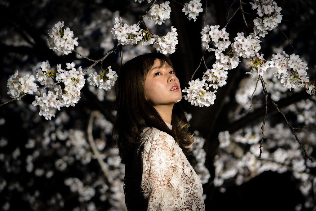 夜桜ポートレート