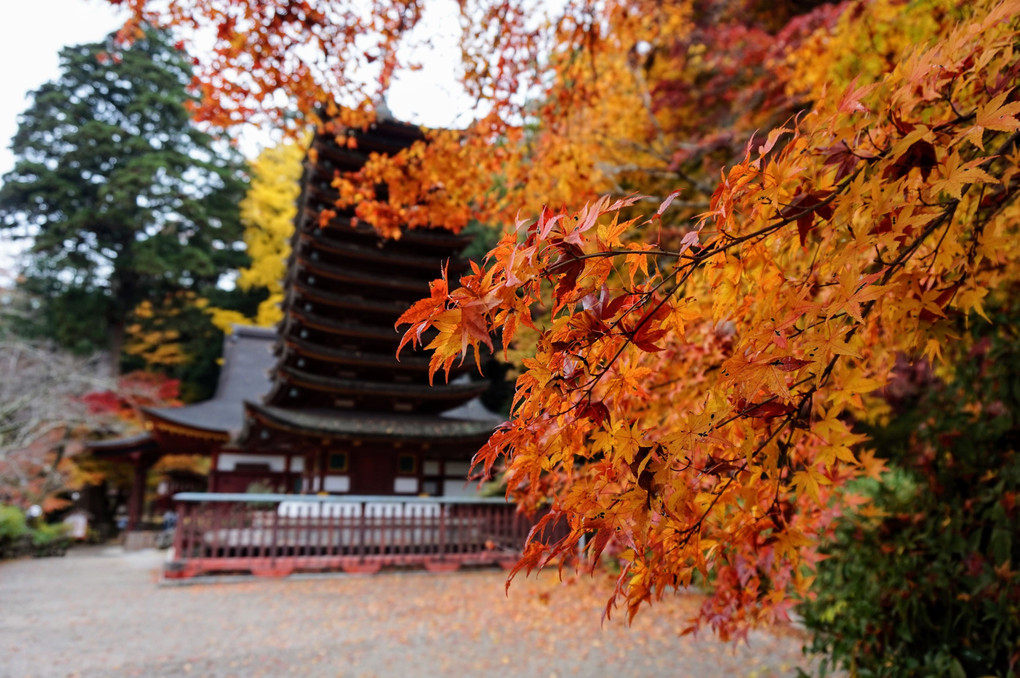 十三重塔と紅葉