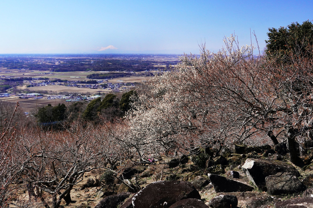 筑波山梅園からの眺望