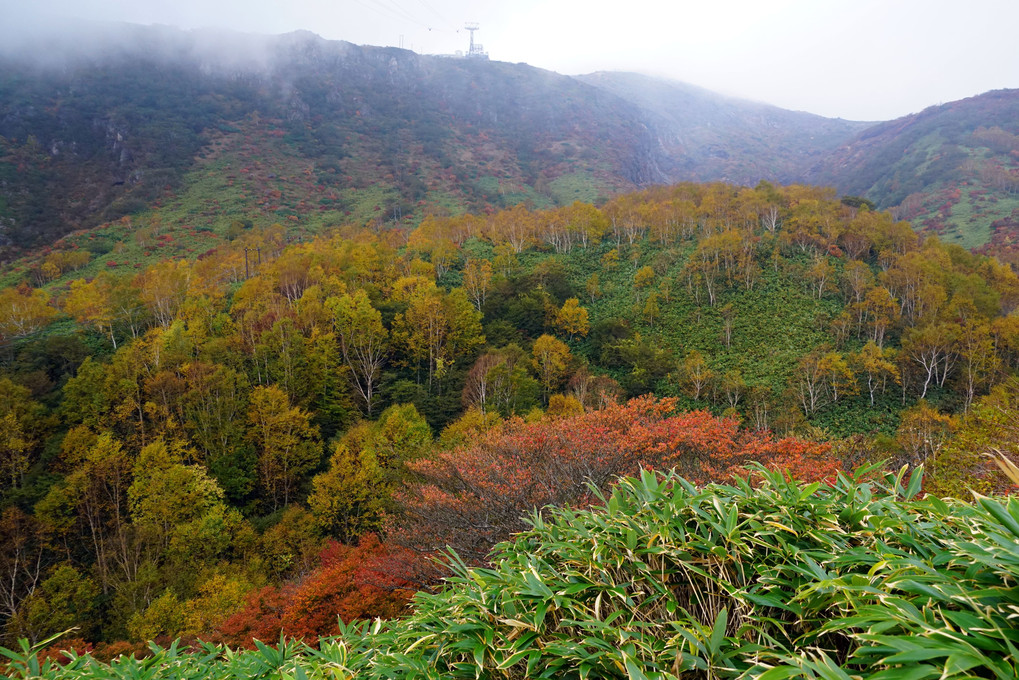 那須高原の紅葉