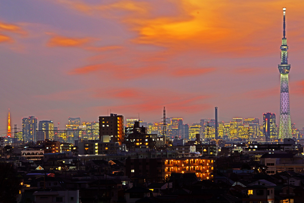 スカイツリーと東京タワーのコラボ