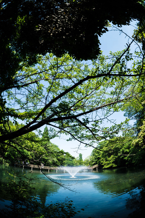 新緑の噴水