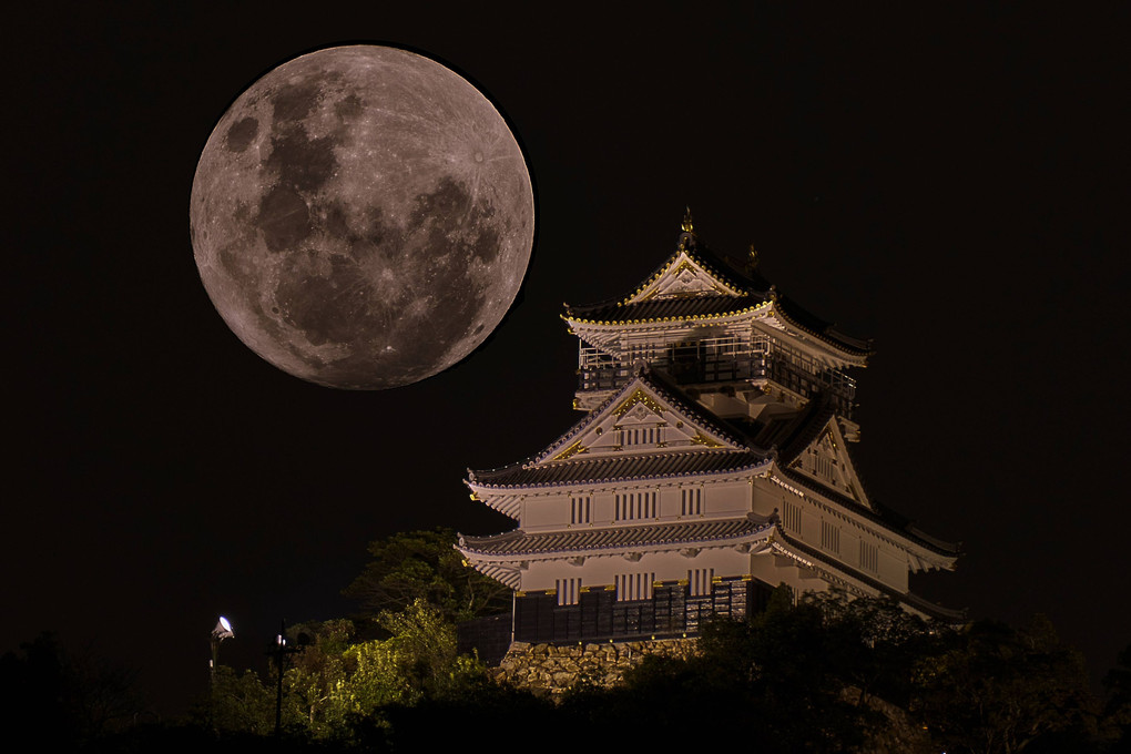 岐阜城と月